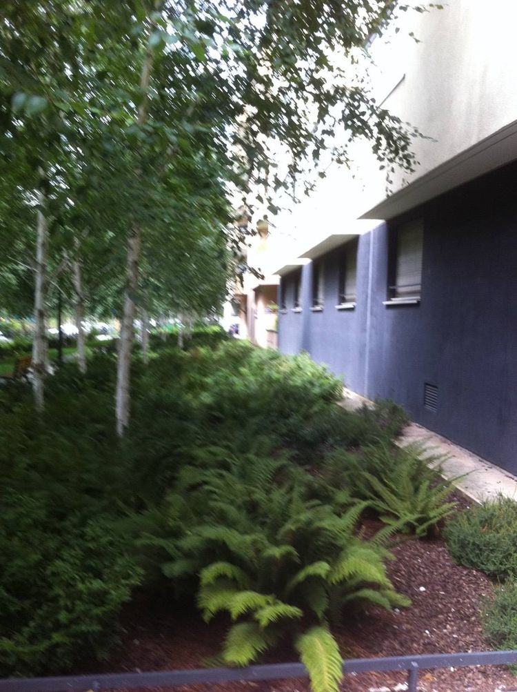 Common areas