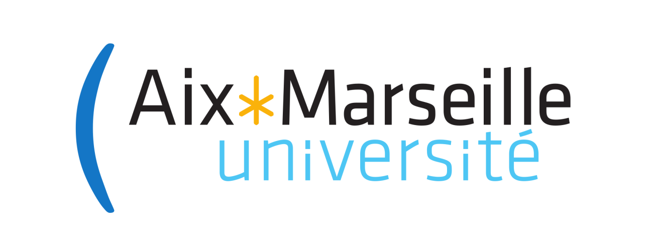 Aix-Marseille University