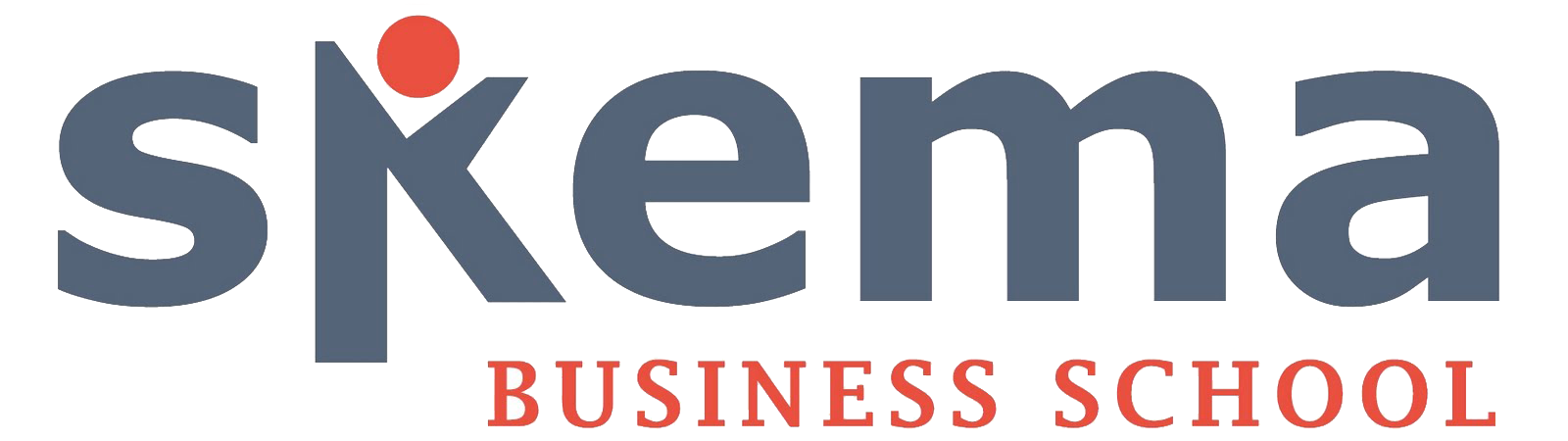 Student accommodation near SKEMA