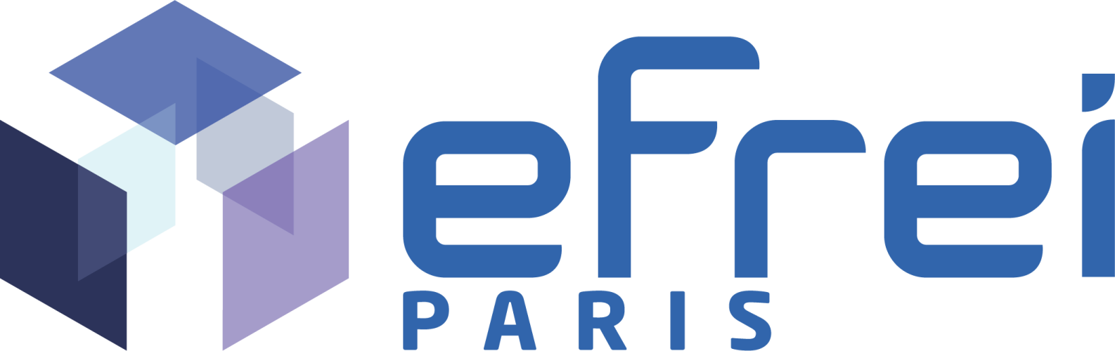 EFREI Paris