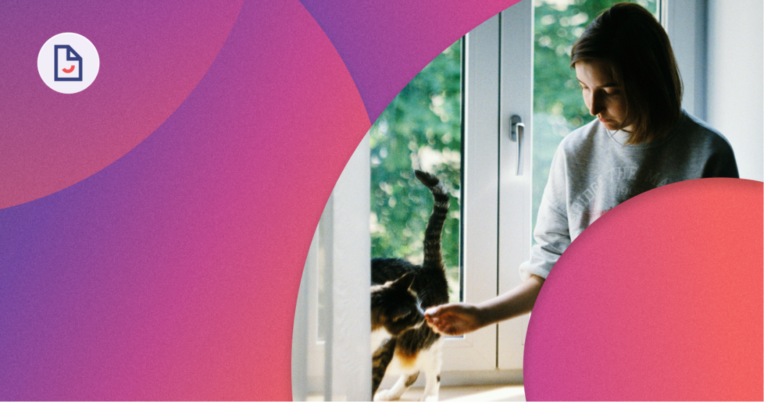 assurance habitation locataire